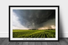 Storm Photography Print – Tornado Emerging from Rain Over Wheat Field in Kansas