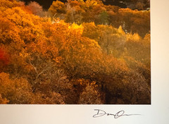 Wall Art Photography print/Autumn landscape 10″ x 15″ image on 13″ x 19″ Signed