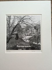 BRUCE BLUM Matted & SIGNED B&W Photo Print (10″X10″)- National Zoo»