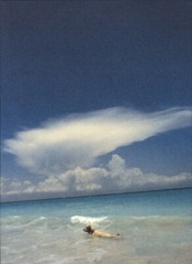 1999 Bruce Weber Golden Retriever Dog Swimming In The Ocean Art Photo Gravure