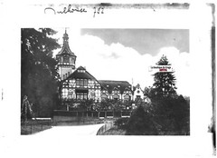Black And White Positive Photo Glass Plate 13X18 Cm, Zoo Inn Of Mulhouse