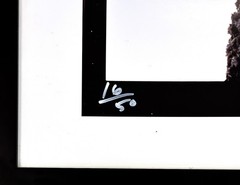 Bert Stern «The Last Sitting: Marilyn Monroe With Chenille Scarf» | Hand Signed