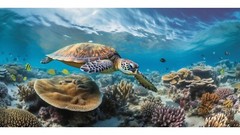 Turtle Painting Photo Art HD Canvas Poster Ocean Coral Reef Wall Art Home Decor