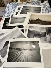 Large Lot 16×20 B&W Photo Prints NYC Events Egypt Portraits Art Photography
