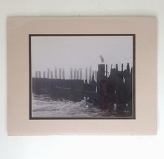 Small Black & White Photo Signed, Pelicans, Egret, Birds on Pier Landscape NOS