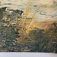 Vintage Art Treasures The Pond Nature Lithograph on Canvas Unframed 17.5 X 12