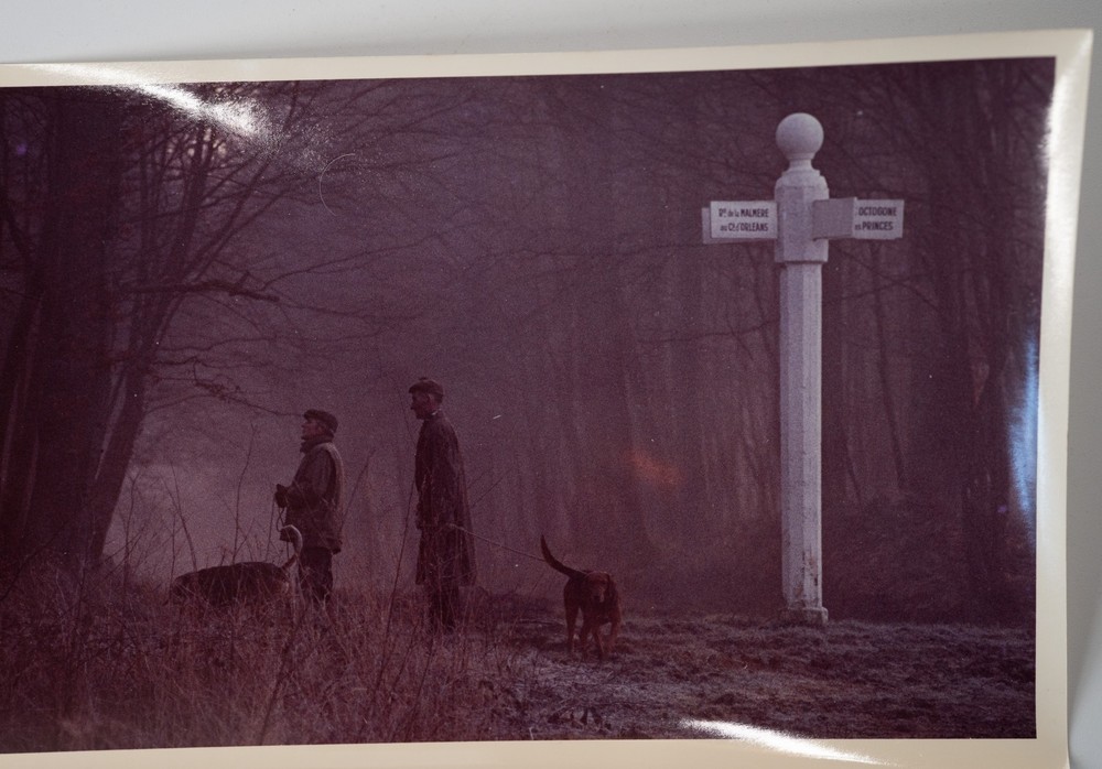 PHOTO Film France Hunting Horse Dog 15x24cm 1970