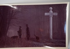 PHOTO Film France Hunting Horse Dog 15x24cm 1970