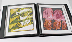 Photo Album – FISH MARKET Art Original Photography 40 – 5″ x 7″ Art Prints