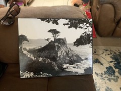 KARL BONFERT handprinted, signed photograph «LONE CYPRESS EVENING” On Wood Frame