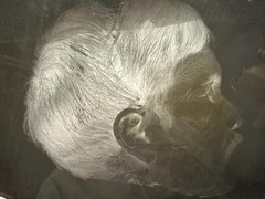 Three Studies Indian Head on Glass Plate, Photo TE1203