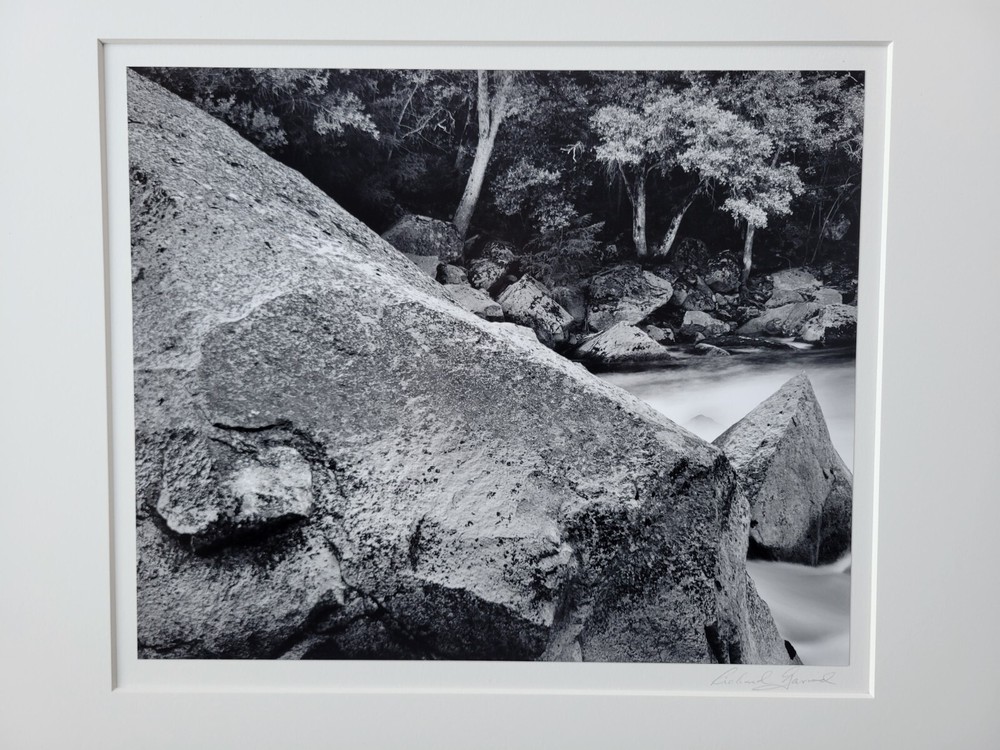 Richard Garrod, silver gelatin, black and white photograph, Sequoia