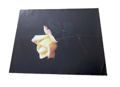 Large Yellow Flower Art Print Original Vintage 1980’s 16″X 21″ #2