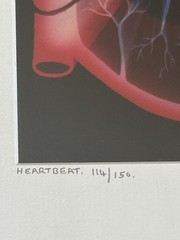 Abstract Photo Litho Matted & Framed ’82 Limit Edition 114/150 Alex Pietersen.