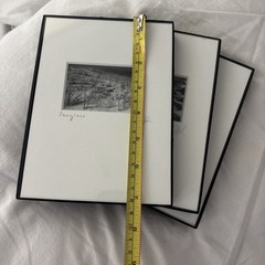 3 Black & White Minimal Modern Framed Photo Art Nature Titled Artist Signed