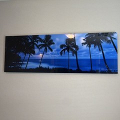 Peter Lik Signed Landscape Photograph Palm Trees Ocean Sunset w/ Certificate