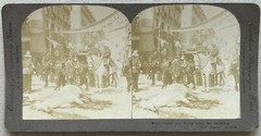 ESPAGNE Madrid Wounded Horse After An Explosion C1900 Stereo Vintage