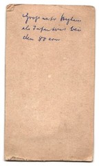 Photograph used Laun, Frankfurt am Main, street unknown, portrait infantry