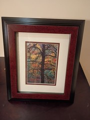 5-Piece Framed Timothy Wolcott Fine Art Photography Collection 4 Signed 1 Not
