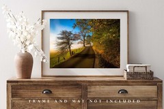 Great Smoky Mountains Photography Print – Cades Cove Loop Road Tennessee