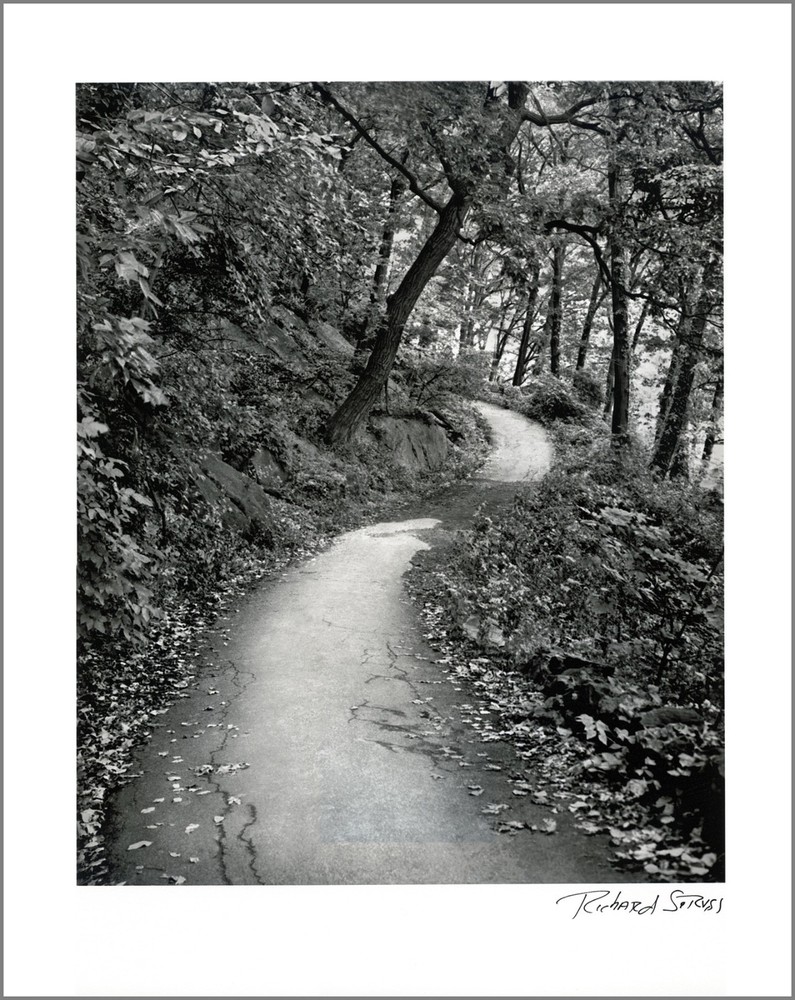New York City Nature – 11×14” Print – Signed by Photographer Richard Serviss