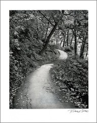 New York City Nature – 11×14” Print – Signed by Photographer Richard Serviss