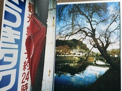 🎈SIGNED! Daido Moriyama – UWAJIMA / cover by Saiko Otake, Limited Ed Super RARE