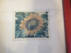 Set of 2 Red Framed Sunflower Photos