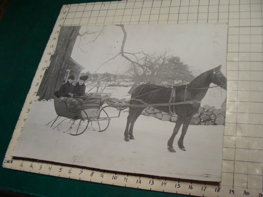 large mounted photo of couple in sleigh, some wear