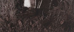 VIK MUNIZ ‘Shovel’, 1999 from ‘Pictures of Soil’ SIGNED Photograph Print 29″x23″