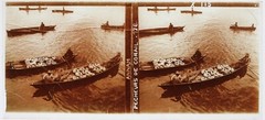 Vietnam Annam Fischer Of Coral c1910 Photo Stereo Plate Glasses VR23L11n