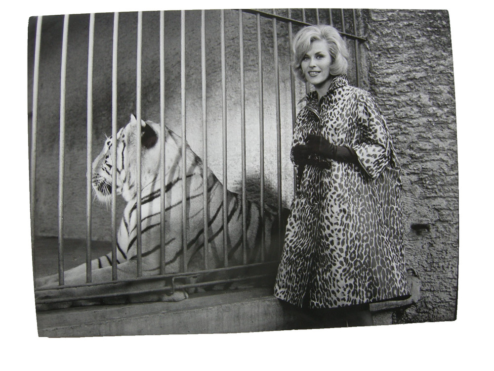 Mannequin in Leopard Coat in Front of Tiger Vintage Photo P. G. Neubarth