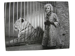 Mannequin in Leopard Coat in Front of Tiger Vintage Photo P. G. Neubarth