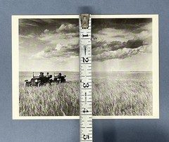 Gordon Nebraska Prairie 1916 Art Photo Print Card By Fotofolio 4.25”x6”