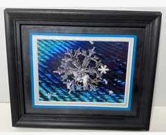 Karla Booth Macro Photography Snowflakes On Peacock Feathers Signed Art Snow COA