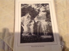 Vtg Antique Africa Photographs Signed J K Nature Waterfall Tree Bridge Swahili 7