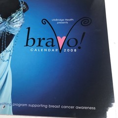 Lifebridge BRAVO 2008 Calender Art Bra Breast Cancer Awareness Avant Garde