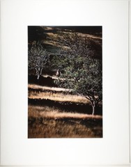 Ralph GIBSON: St. Bart’s, French West Indies, 1983 / Cibachrome / SIGNED!