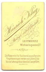 Photograph Heinrich Kulg, Leitmeritz, Michaelsgasse 27, young man with hand in