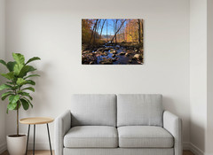 Saturated Colors- Sterling Forest, NY, Forest, Green, Nature, Outdoor, Stream
