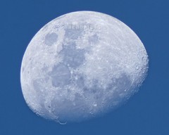 Daytime Moon Decor 8×10 inch Print, (Waxing Gibbous Phase 81 Percent) M0857