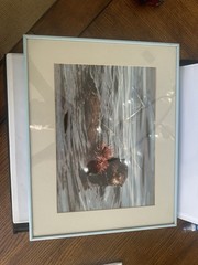 Limited Edition Signed Fine-Art Nature Photograph By Thomas Mangelsen