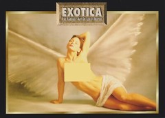 VTG~IMAGE 2000~EXOTICA: THE FANTASY ART OF LEROY ROPER~PROMO SHEET & CARD~XLNT