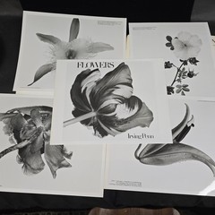 Irving Penn Flowers Press Release With Photos