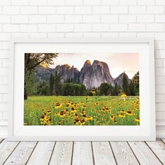 Yosemite Valley Sunflowers, Wildflowers in The Meadows, Yosemite National Park