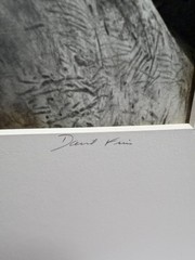 David Finn Signed Photo Pair Henry Moore «Sheep Piece» Silver Gelatin