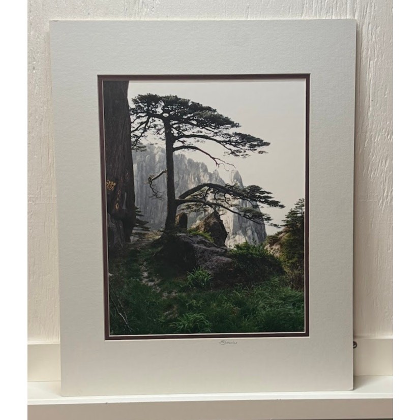 Signed Sherrill Photo Print «The Welcome Tree» Huangshan China Yellow Mountain