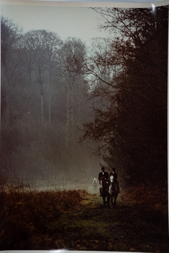 Analog Photo France Hunting Hound Horse 24X30CM 1970
