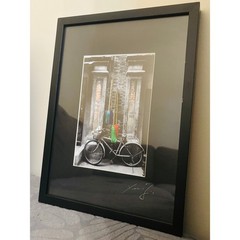 Xuanmin Jin Signed Framed Art Print Bicycle Colorful Mops Urban China Photo