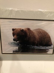 Lot Of 2 11X14” Matted Grizzly Bear Photos By Famous Photographer Wendell Welch
